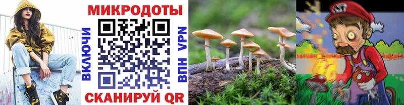 купить наркотик  Урай  ОМГ ОМГ маркетплейс  Галлюциногенные грибы Psilocybe 